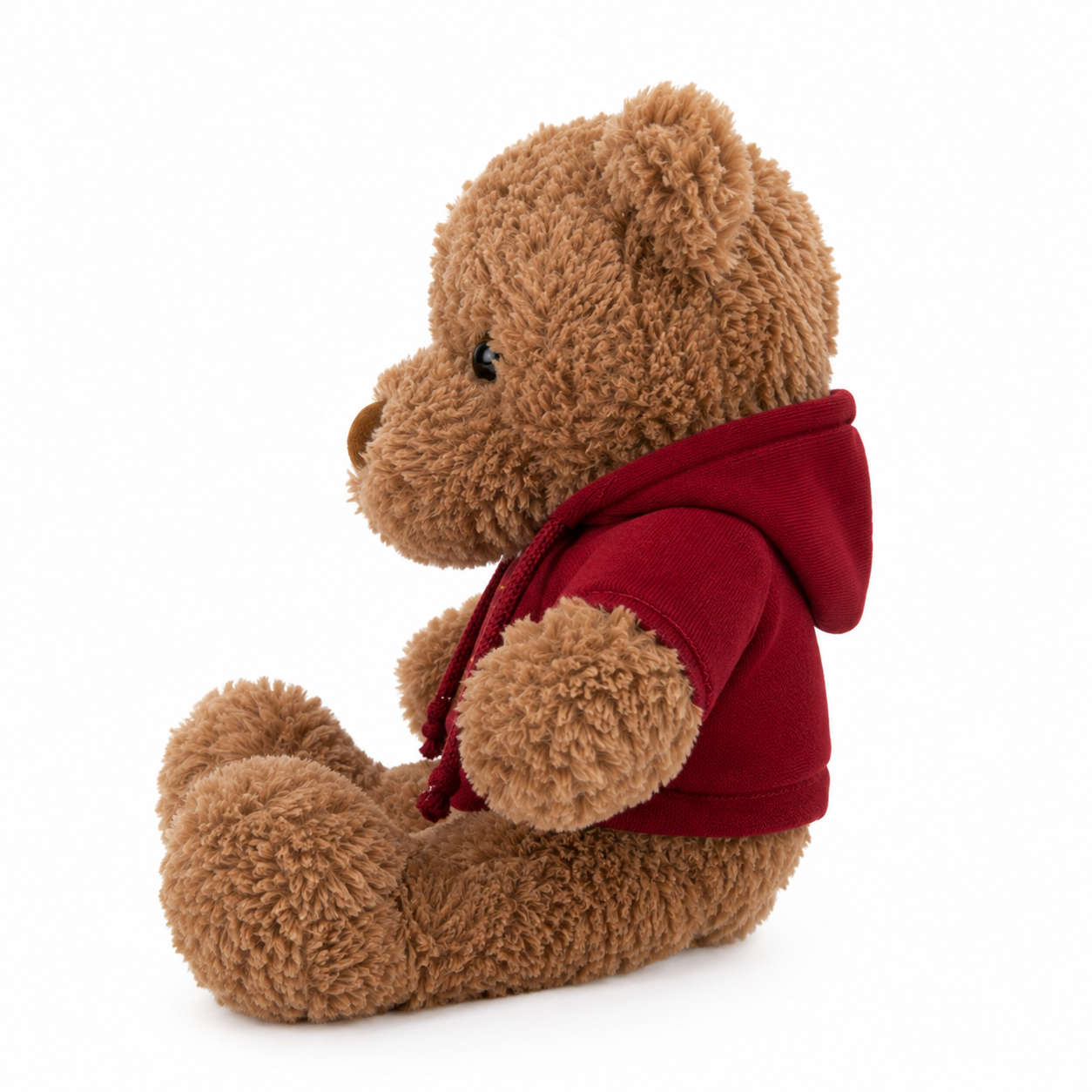 Snuggle Hoodie Bear