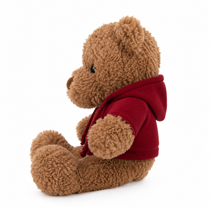 Snuggle Hoodie Bear